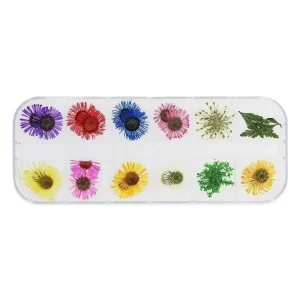 Conjunto de Flores Secas - 002
